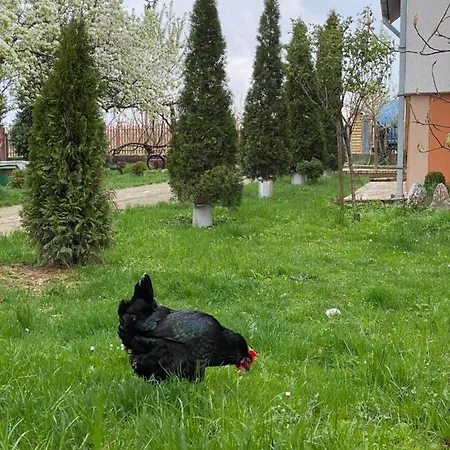 Heritage Kuca Za Odmor Prázdninový dům