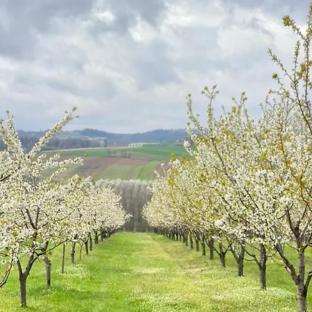 Heritage Kuca Za Odmor