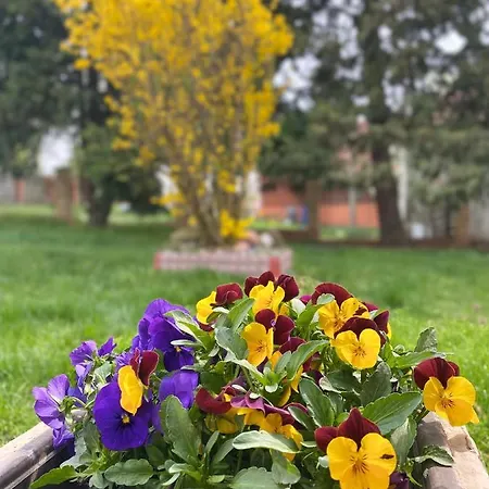 Heritage Kuca Za Odmor Prázdninový dům