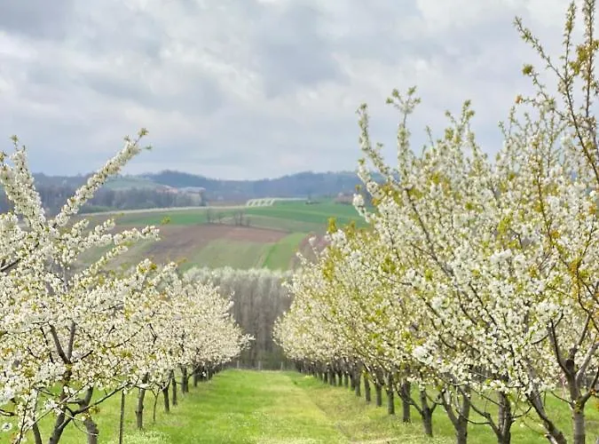 Heritage Kuca Za Odmor