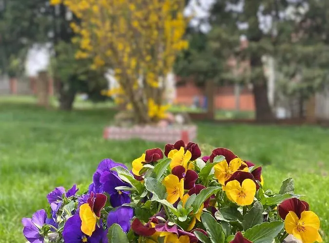 Heritage Kuca Za Odmor Case de vacanță