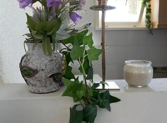 Case de vacanță Heritage Kuca Za Odmor *